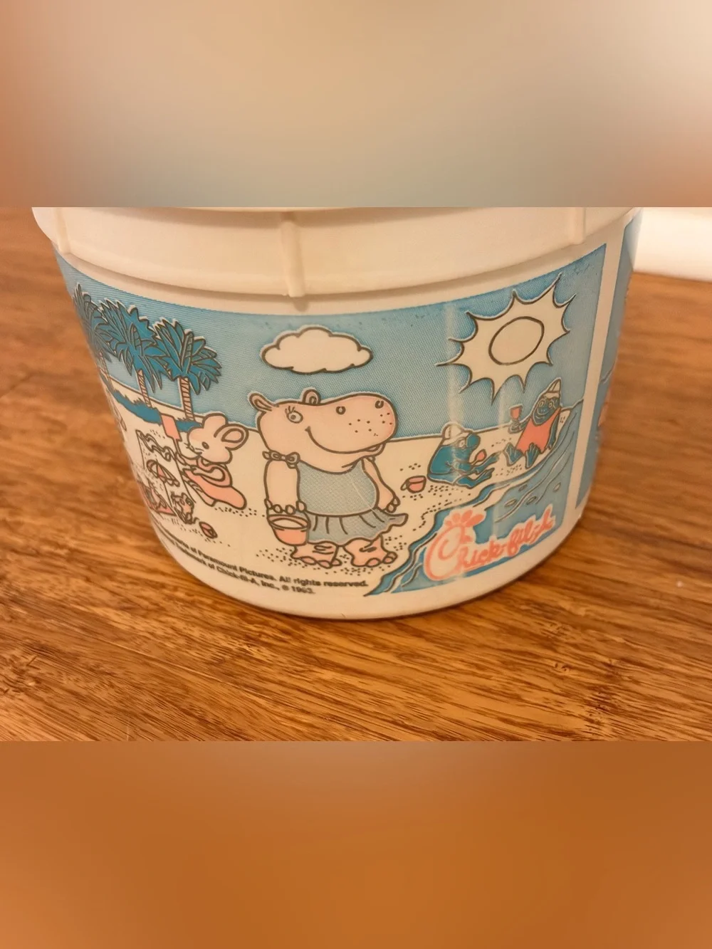 Chick-Fil-A Busy World of Richard Scarry 1993 Vintage Meal Bucket Pail 90s Kid